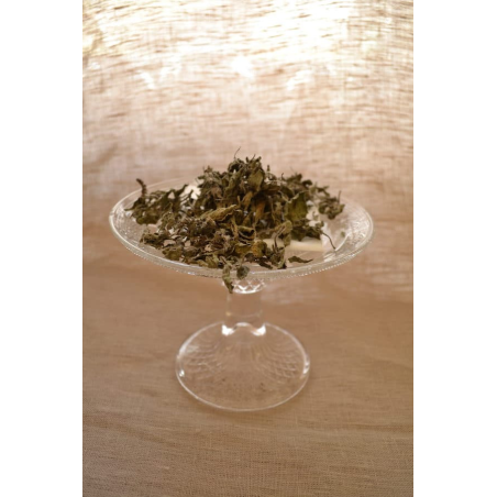 Tulsi bazilika (posušena) - Vrt okusov